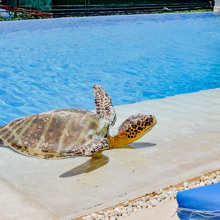 Villa Del Pescador Сіуатанехо Екстер'єр фото
